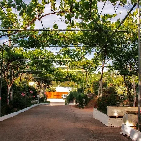 Athineos Kommeno (Corfu)