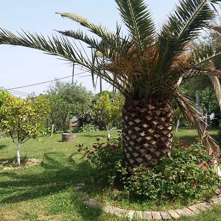 Appartement Athineos Kommeno (Corfu)