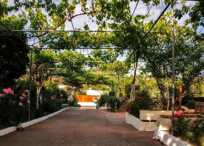 Athineos Kommeno (Corfu)